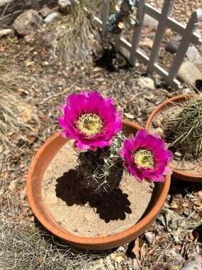 Extra postage for over size allowed by Poshmark